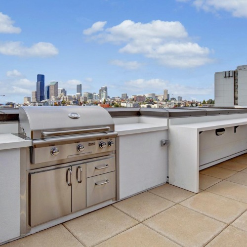 Everything within reach a rooftop with a city in the background